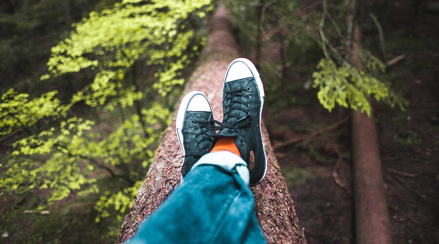 A pair of legs wearing jeans and trainers lying on a log in a forest