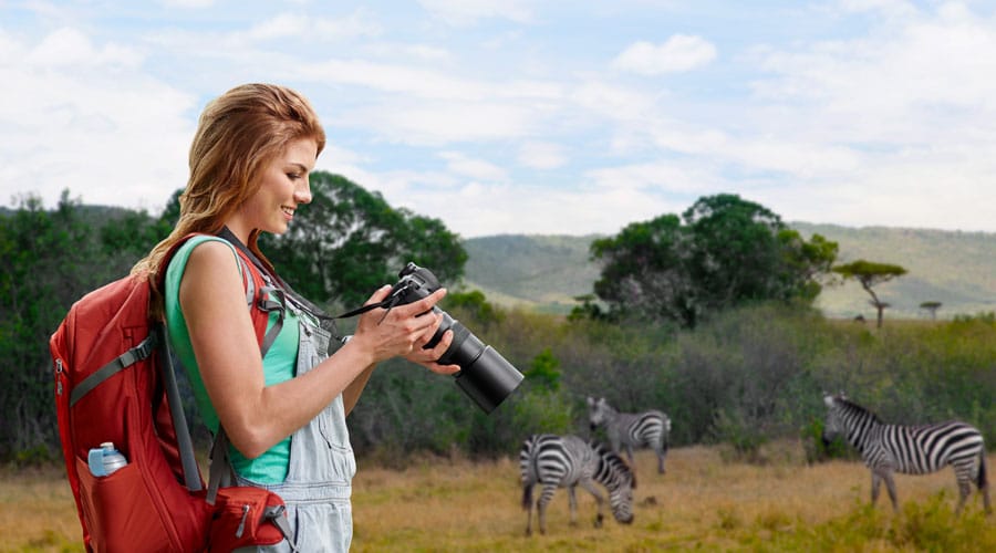Woman taking photos of Zebra